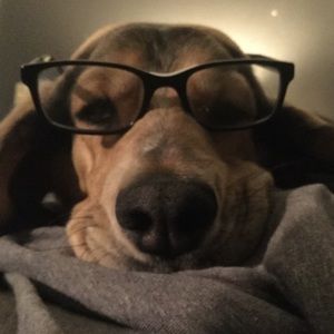 Meet your Posher, Libby